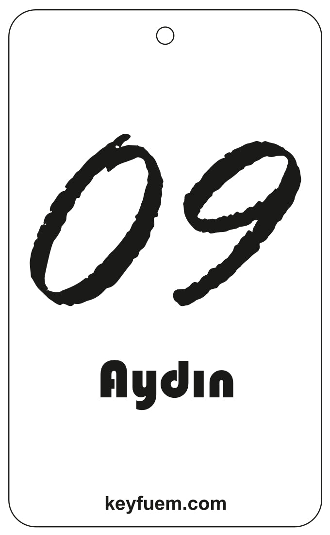 09 AYDIN DUFTANHÄNGER