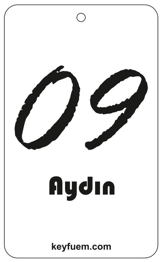 09 AYDIN DUFTANHÄNGER