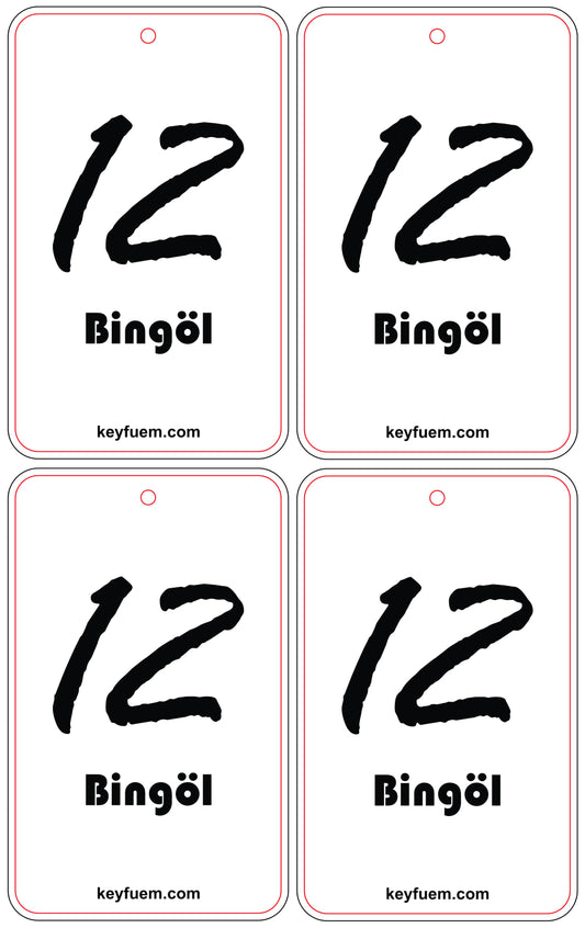 4x BINGÖL DUFTANHÄNGER SPAR-BUNDLE