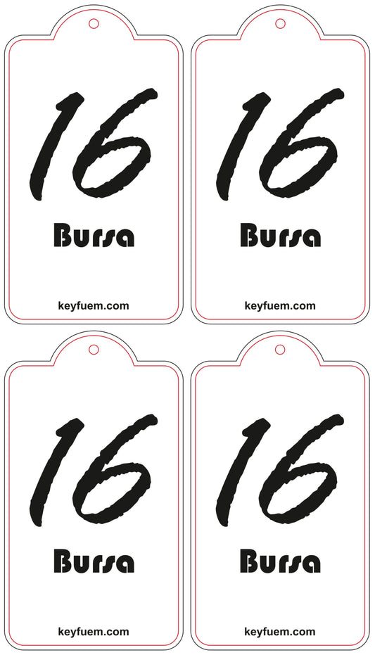 4x BURSA DUFTANHÄNGER SPAR-BUNDLE