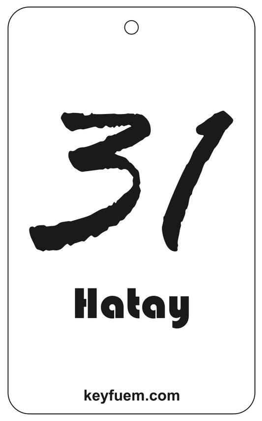 31 HATAY DUFTANHÄNGER