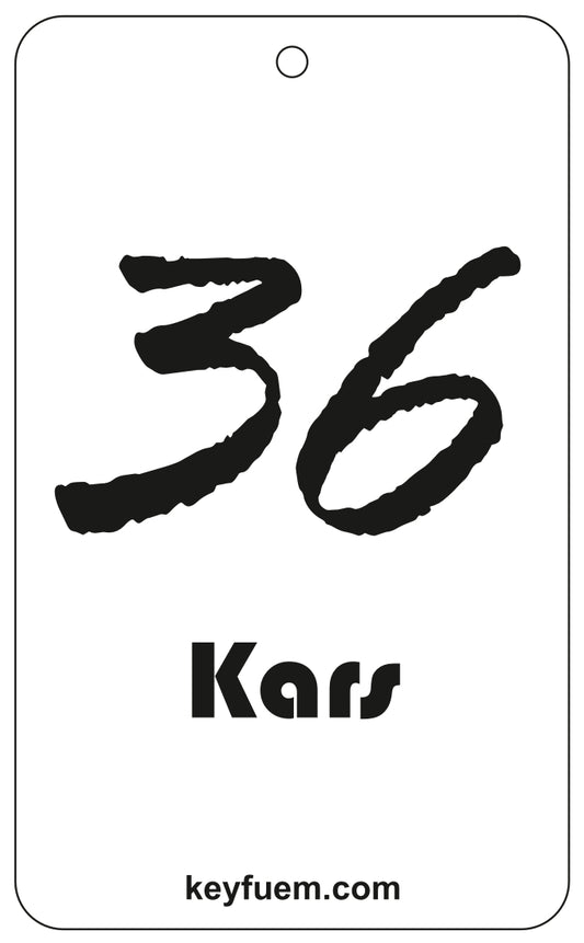 36 KARS DUFTANHÄNGER