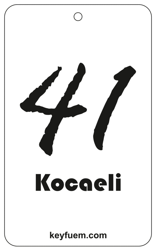 41 KOCAELI DUFTANHÄNGER