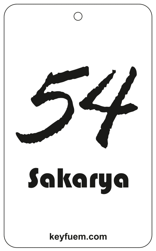 54 SAKARYA DUFTANHÄNGER