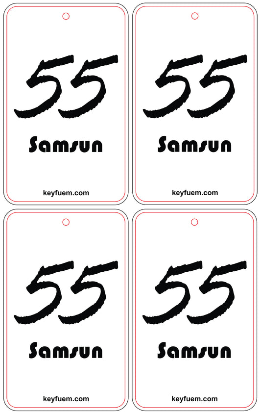 4x SAMSUN DUFTANHÄNGER SPAR-BUNDLE