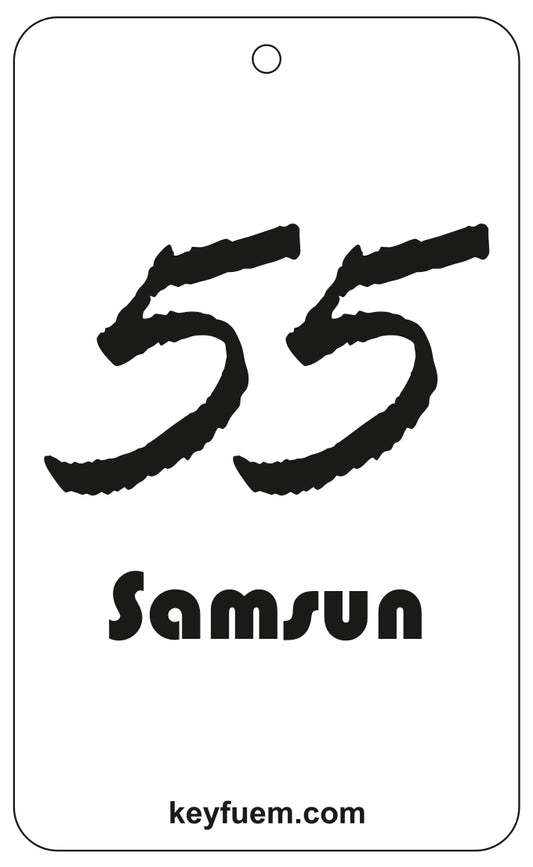 55 SAMSUN DUFTANHÄNGER