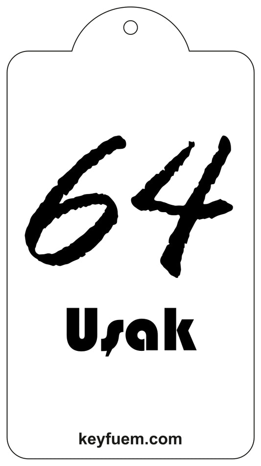 64 USAK DUFTANHÄNGER
