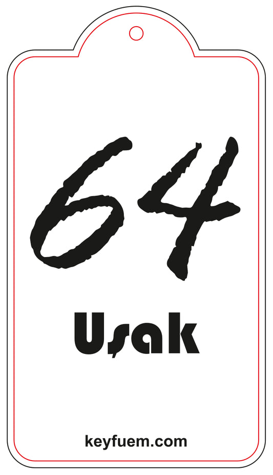 64 USAK DUFTANHÄNGER